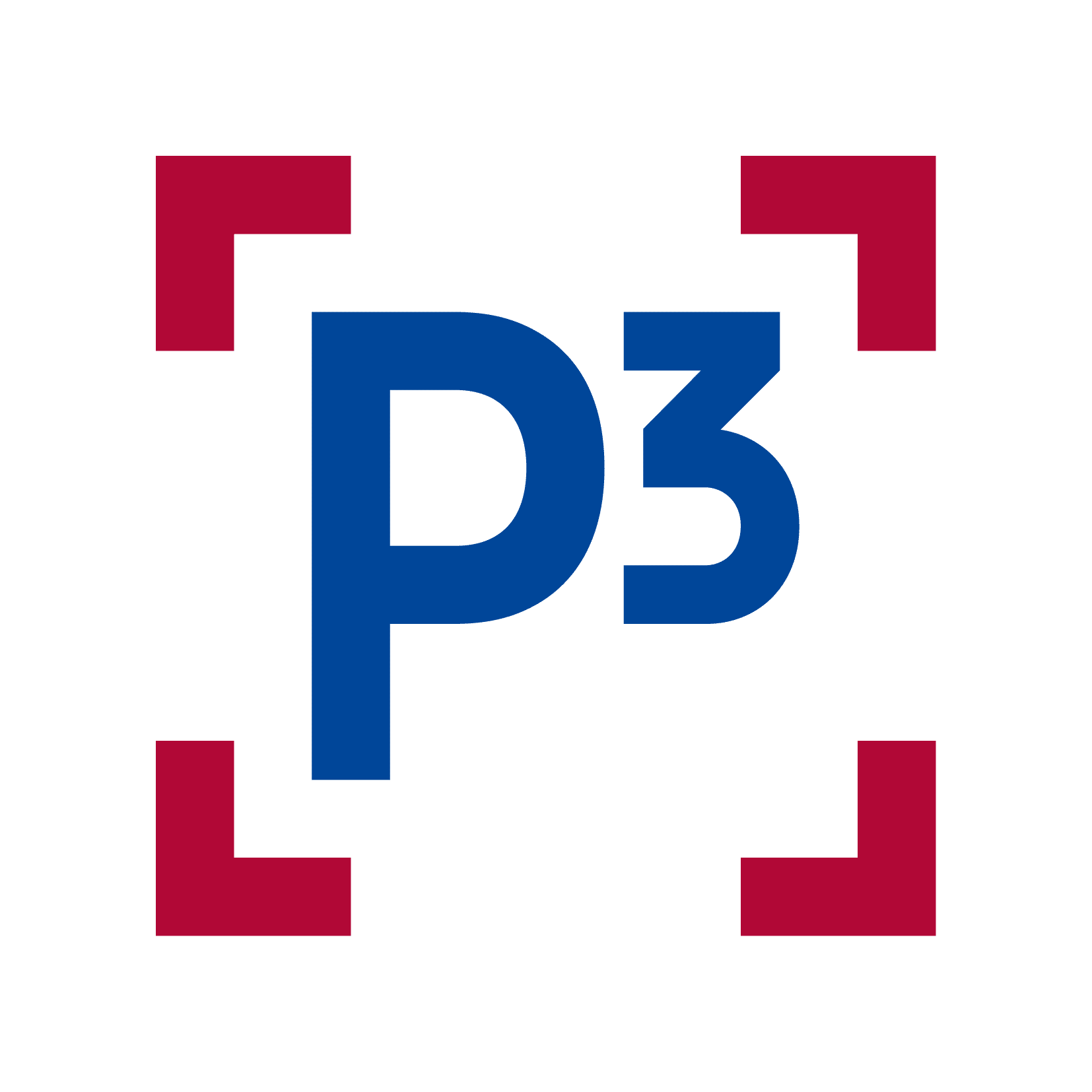 Logo P3